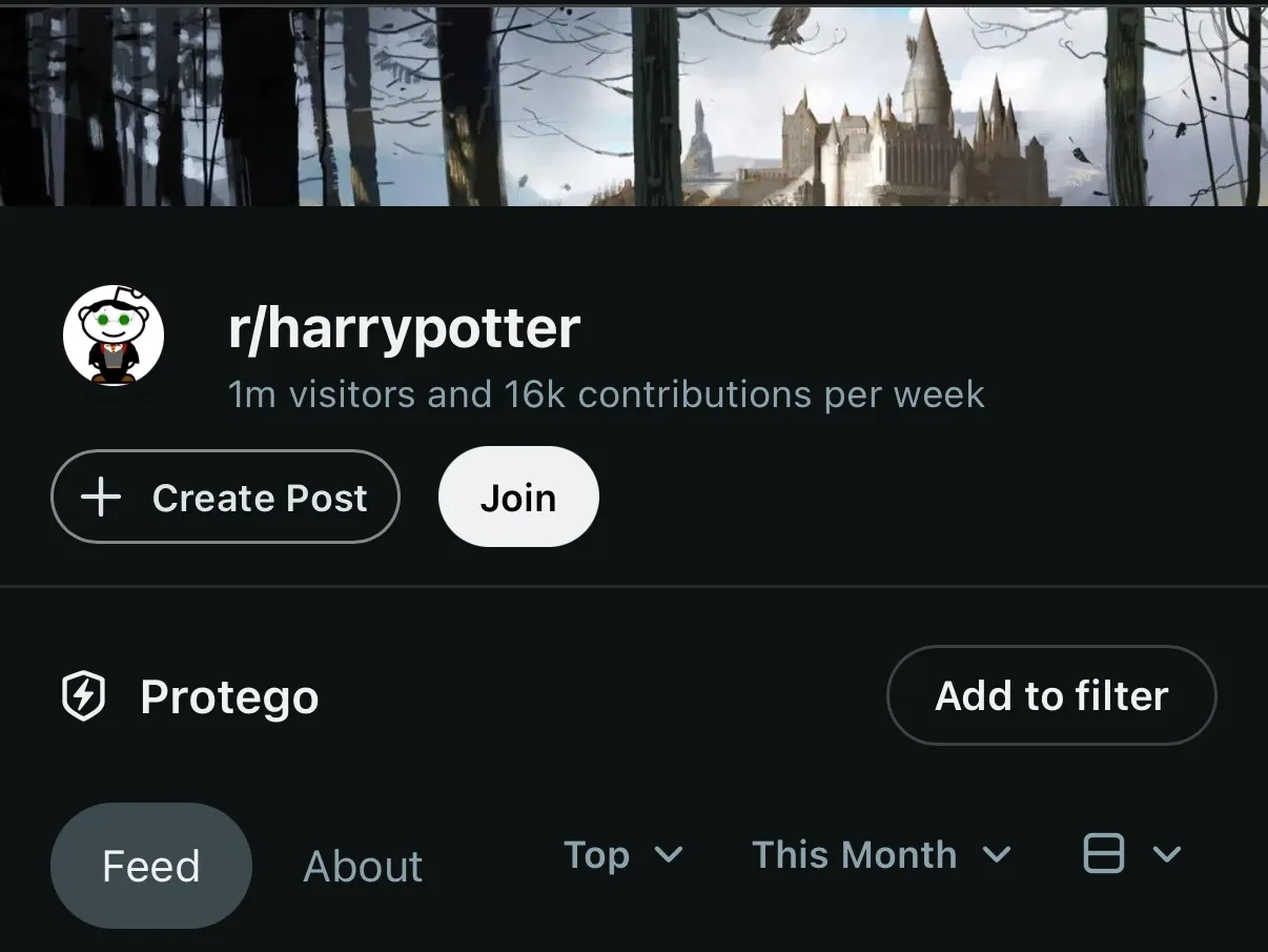 La página de r/harrypotter con una sección de Protego y un botón Add to filter.
