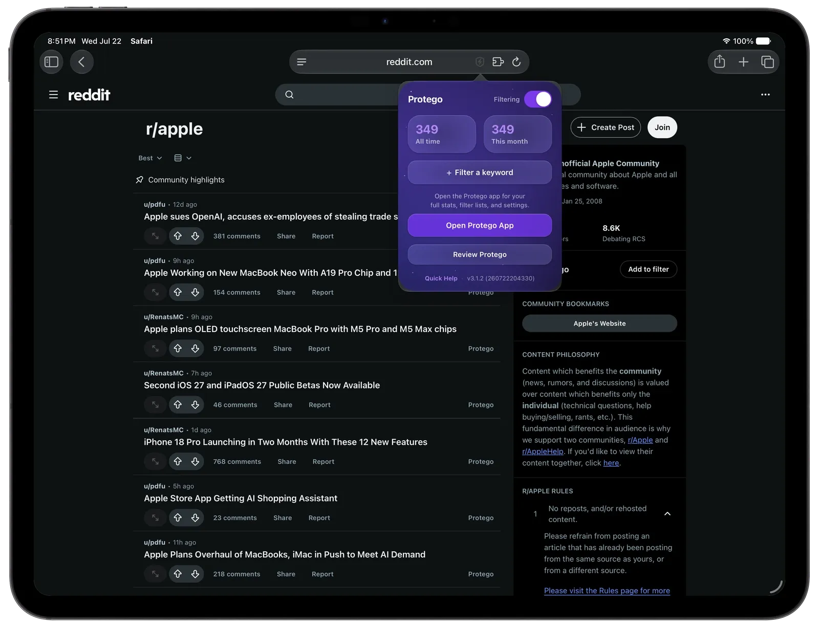 The Protego popup open over Reddit in Safari on an iPad, with filter counts, a filtering toggle, and a button to filter a keyword