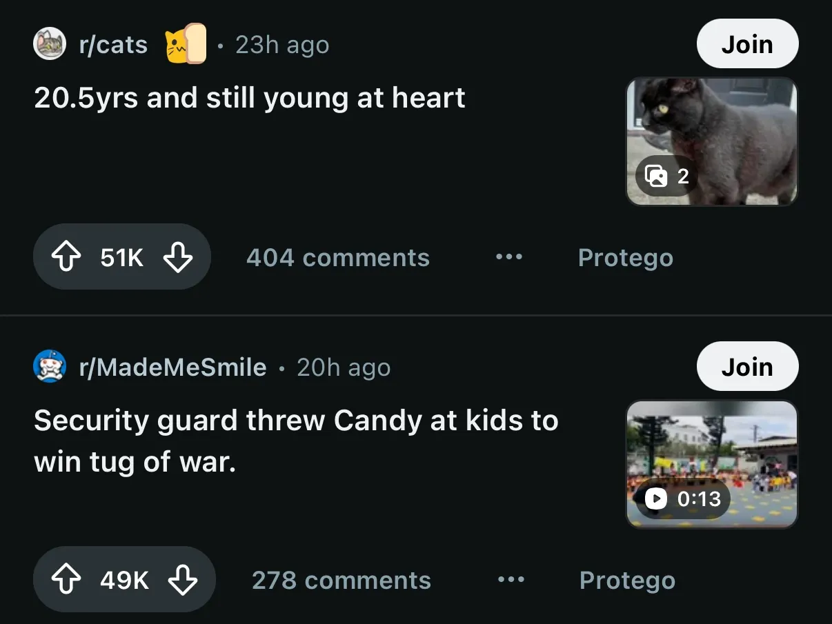 El mismo feed con un post normal donde estaba el post promocionado.