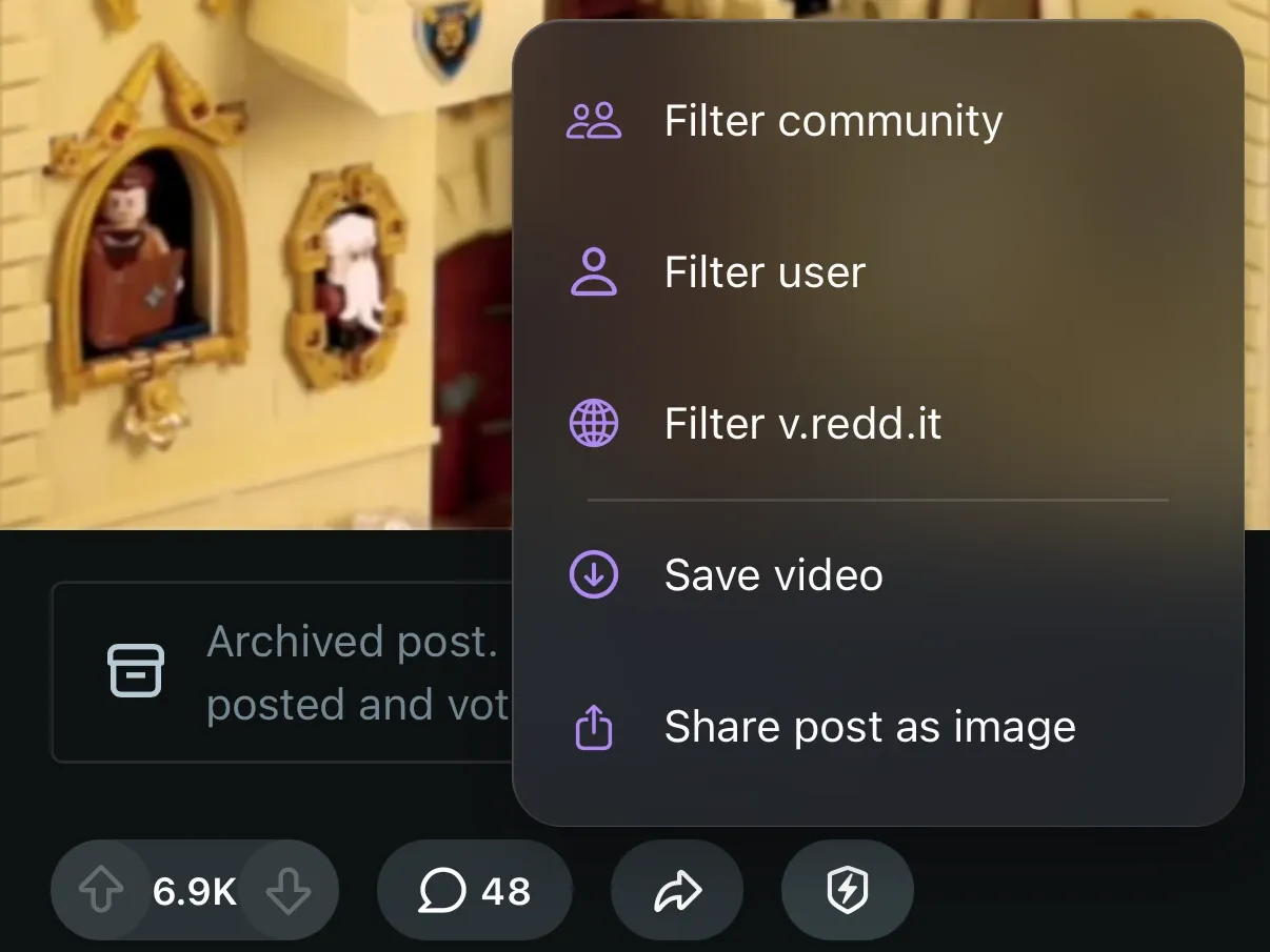 The Protego menu open on a Reddit video post, with Save video below the filter options.